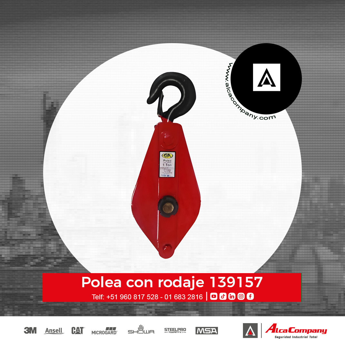 Polea con rodaje 139157 1 Polea con rodaje 139157